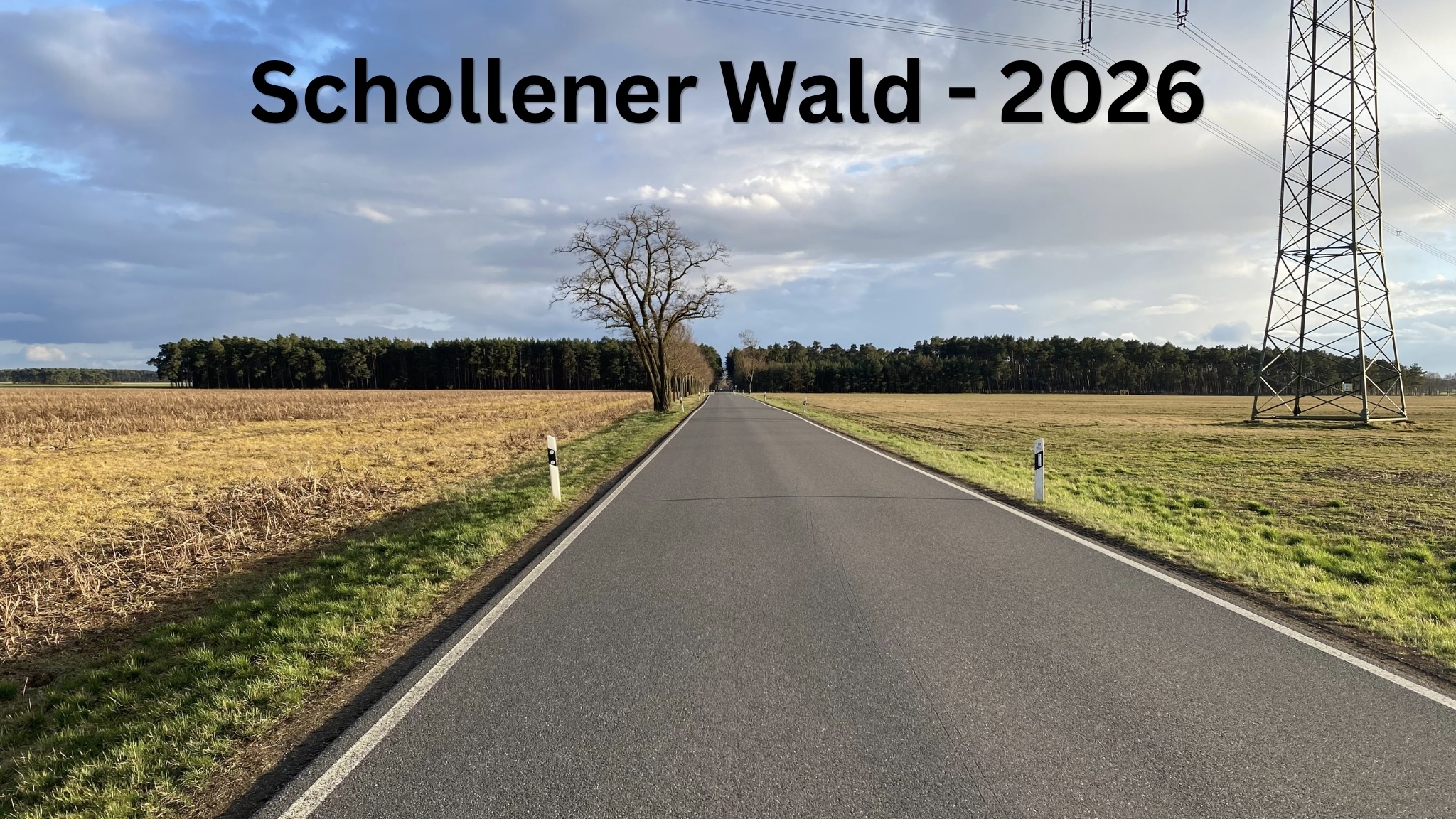Schollener Wald – unsere Heimatlandschaft
