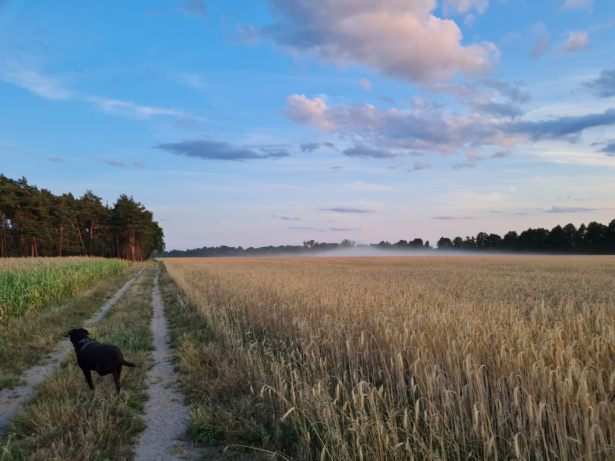 Engagierte Bürger für ihre Heimat