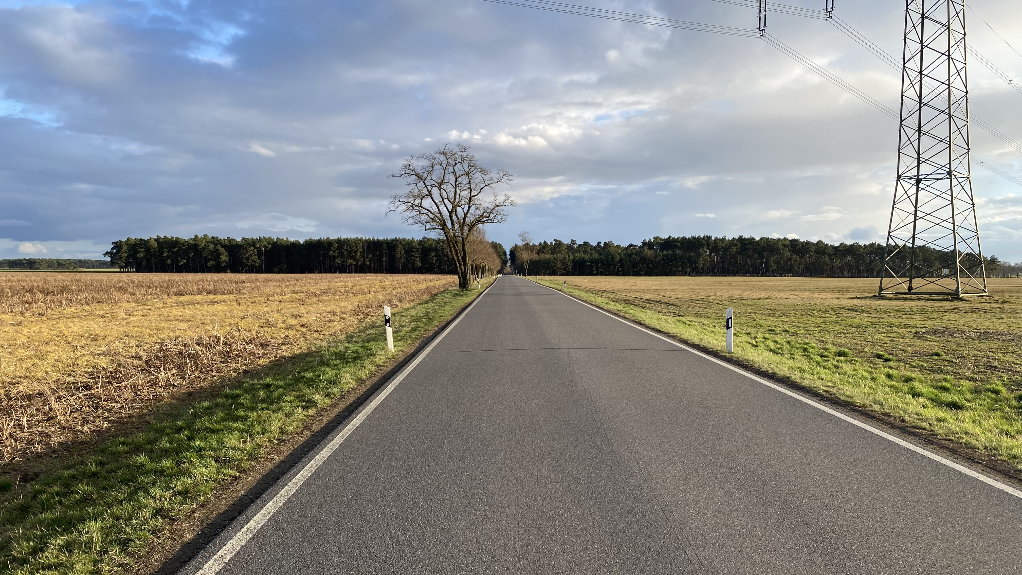 Radweg in der Brandenburger Landschaft